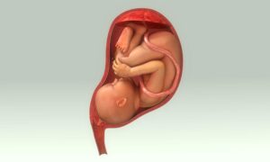 High Risk Pregnancy Treatment in Aundh,Baner- Dr. Dilip Walke